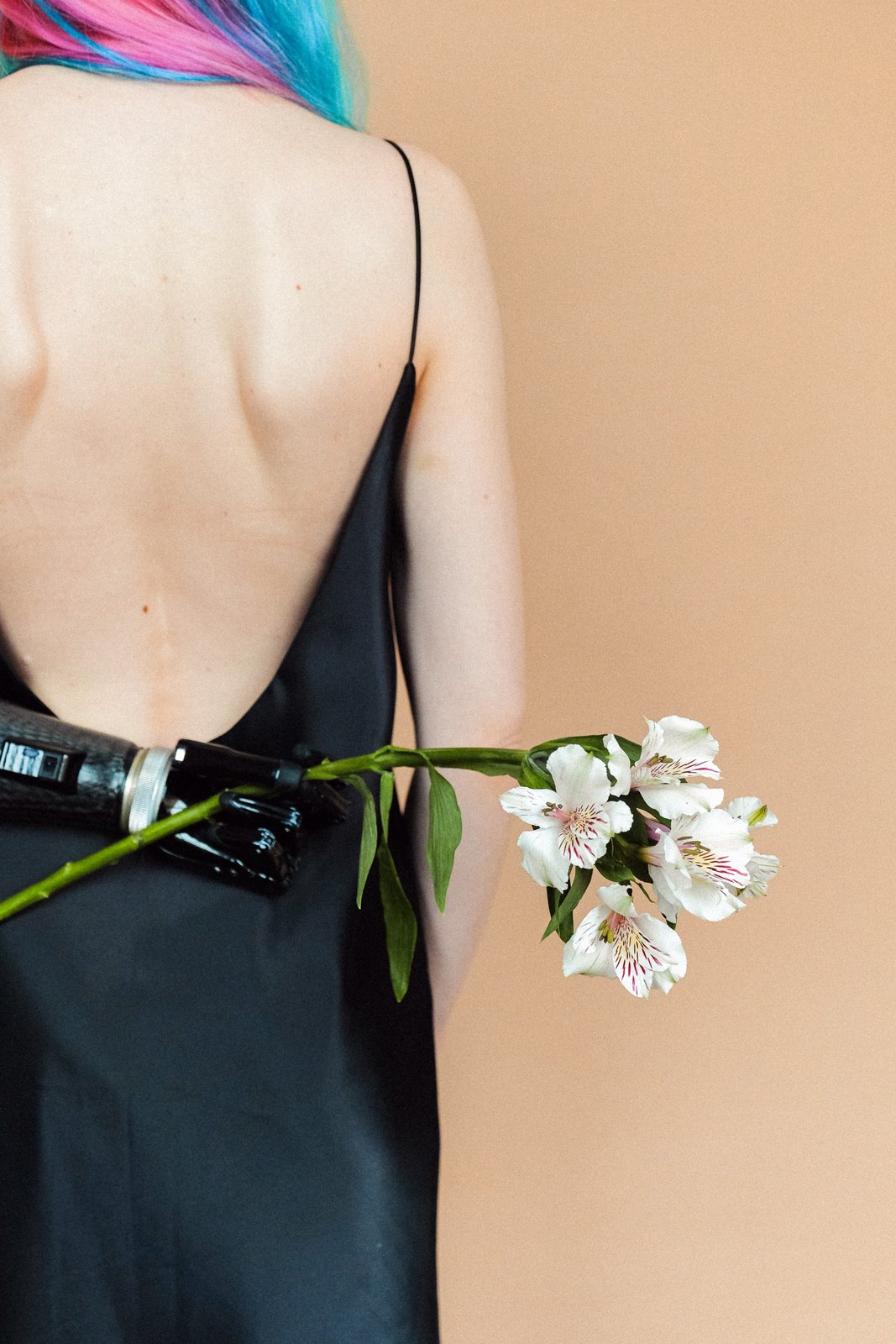 stock photo of flower